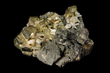Cluster of golden pyrite crystals