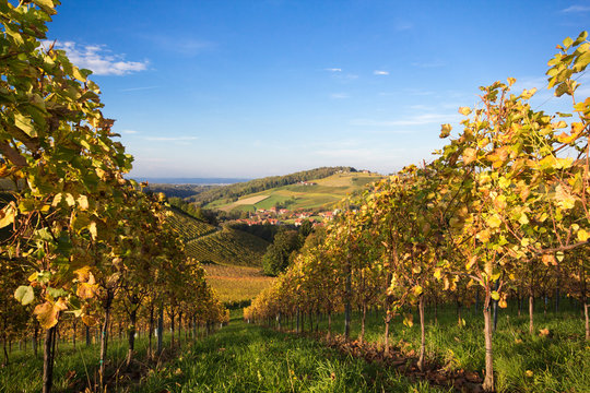 Urlaub in der S&uuml;dsteiermark