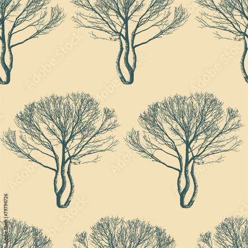 "trees" Stock image and royalty-free vector files on Fotolia.com - Pic 79794726