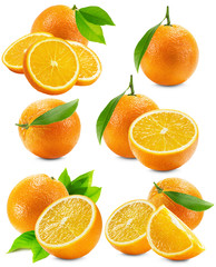 set of oranges isolated on the white background