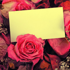 white empty card with dried roses