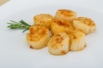 Grilled scallops