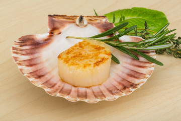 Grilled scallops