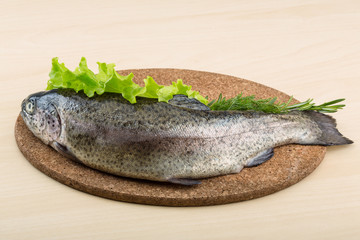 Raw fresh trout