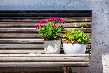 flowers on a bench
