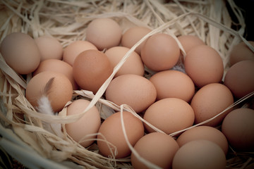 Basket of organic eggs in a rural farmers market