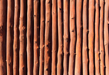 Mediterranean wooden trunks wall texture