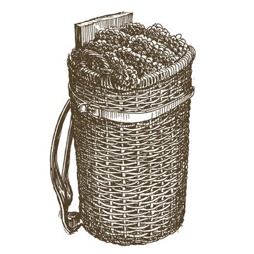 recommend clip art: harvest, grapes on a white background. sketch