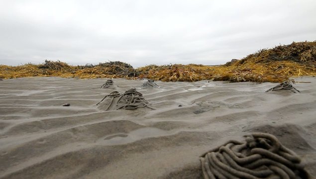 impressive rapid onset of high tide in the North sea