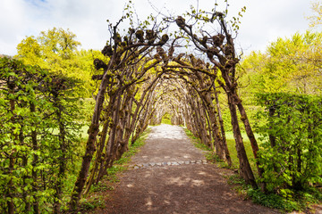 Botanical arc in Bergpark garden public park