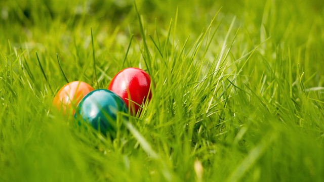 Frohe Ostern 
