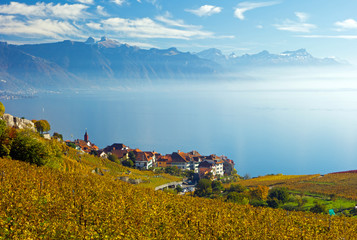 Lavaux, Genfersee