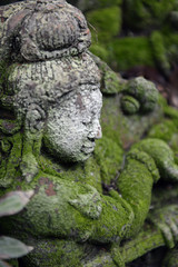 ASIA THAILAND CHIANG MAI WAT PHAN TAO