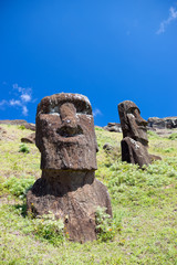 Moai im Rano Raraku Krater (Osterinsel, Rapa Nui)