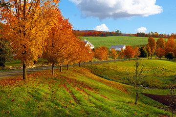 Vermont fall landscape of rolling hills with orange foliage