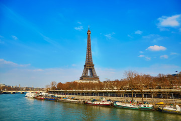 Fototapeta na wymiar View of the Eiffel tower across the Seine