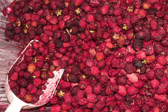 mora fruta Stock Photo