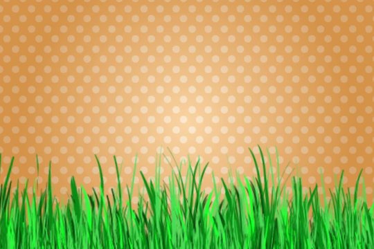 Frohe Ostern Osterhase Video Animation