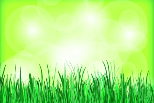 Frohe Ostern Osterhase Video Animation