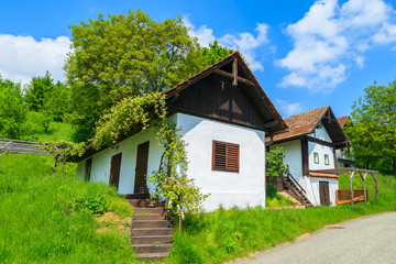 Fototapeta na wymiar Traditional cottage houses in wine region of Burgenland, Austria