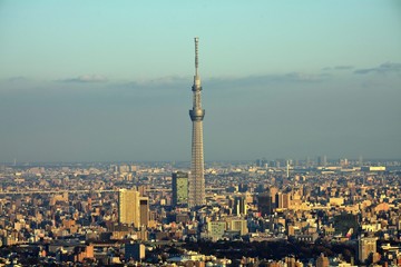 Dense Buildings in Tokyo at dusk with Sky tree