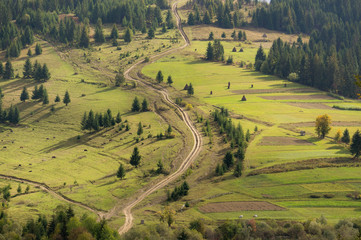 Naklejka premium path