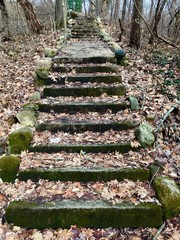 Foot Path Steps