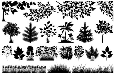 Silhouette of floral elements on white, vector illustration