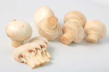 マッシュルーム