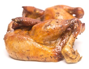 chicken meat