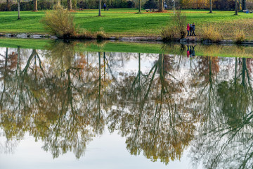Fototapeta na wymiar Bäume spiegeln sich im Wasser