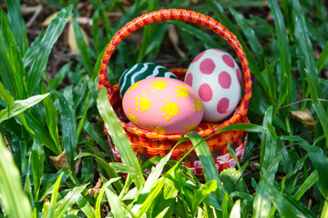 Easter eggs in the basket.