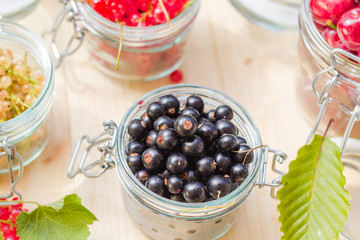 Preparation products processed fresh colorful summer fruits jars