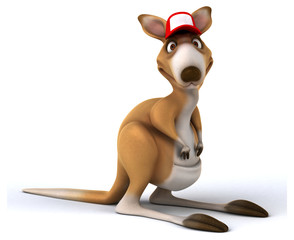 Fun kangaroo © Julien Tromeur