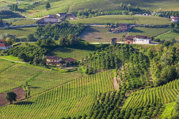 Fototapeta na wymiar Rural houses among green hills and vineyards of Piedmont, Northe