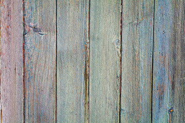 Beautiful wooden door texture