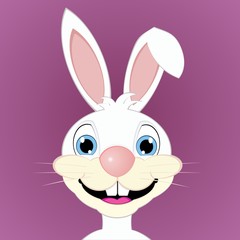 bunny white - cartoon