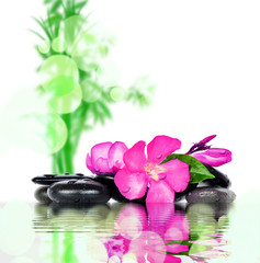 Obraz na płótnie Canvas Flower and stones. Zen and Spa.