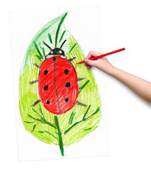 ladybug on leaf. child drawing.