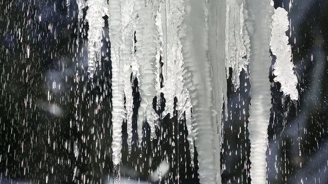 tauende Eiszapfen