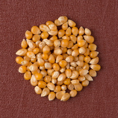Circle of corn