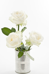 Three white roses in a can over white