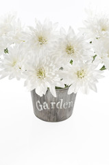 Bouquet of fresh white chrysanthemum in a wooden pot