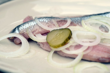 Matjesfilet mit Zwiebeln