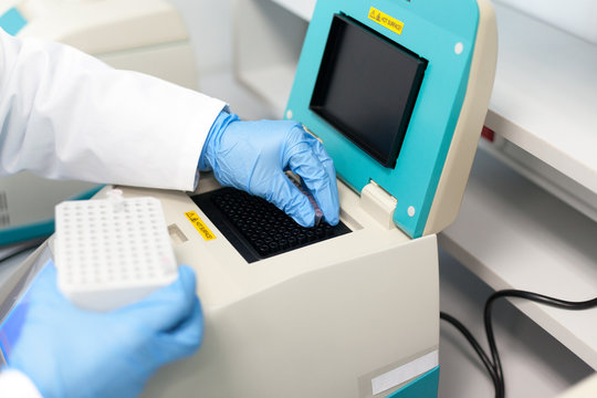 Loading test tubes with sampled DNA for PCR