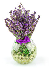 Lavender natural flowers in bowl with water balls