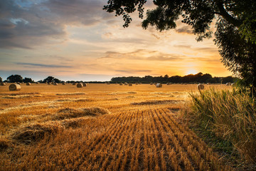 Image paysage rural du coucher de soleil d& 39 été sur le champ de balles de foin