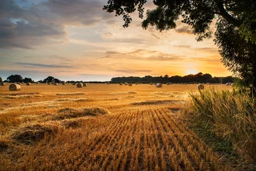 Fotobehang Landelijk landschapsbeeld van de zomerzonsondergang over gebied van hooibalen © veneratio