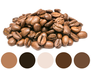 Color Palette Of Fresh Roasted Coffee Beans Isolated