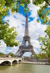 Fotobehang Paris eiffel tower © hansenn